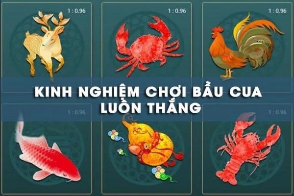 Kinh nghiệm chơi bầu cua luôn thắng cho người mới