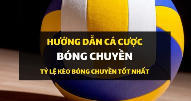 Hướng dẫn cá cược bóng chuyền chi tiết từ A – Z