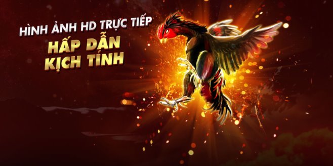 Những luật chấp trong đá gà online mà người chơi cần biết