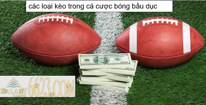 Bóng bầu dục là gì? Tìm hiểu các loại kèo trong cá cược bóng bầu dục