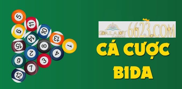 Cá cược bida là gì? Hướng dẫn cá cược bida online