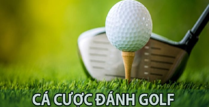 Cá cược Golf là gì? Hướng dẫn cách chơi cá cược golf