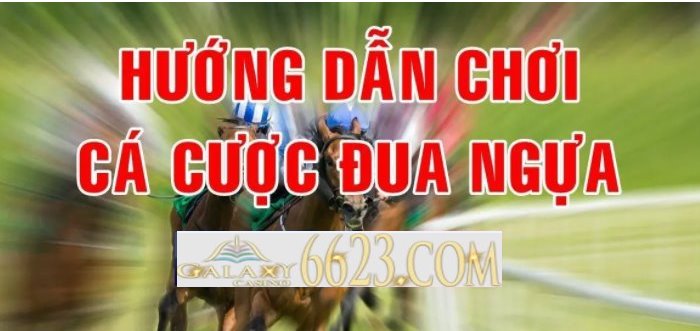 Hướng dẫn chi tiết Cá cược đua ngụa trực tuyến