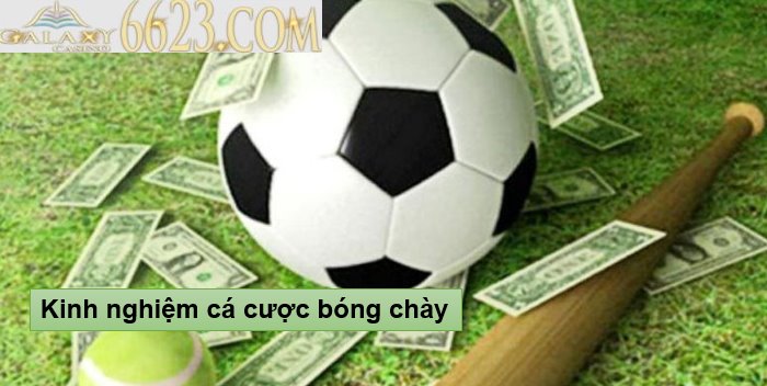 Kinh nghiệm cá cược bóng chày dành cho người chơi mới