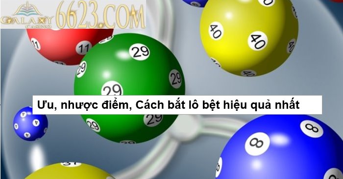 Lô bệt là gì? Ưu, nhược điểm, Cách bắt lô bệt hiệu quả nhất