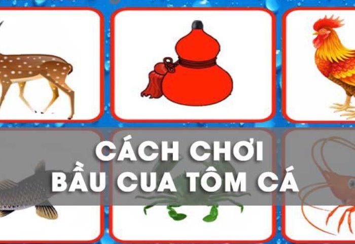 Cách Chơi Bầu Cua Tôm Cá Cho Người Mới Không Thể Bỏ Qua