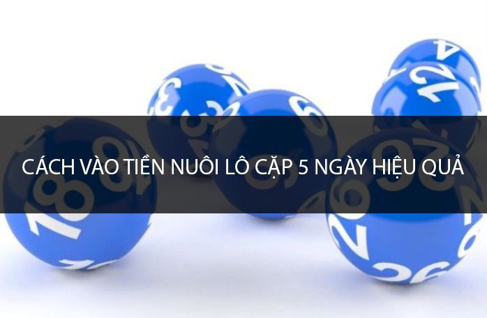 Cách vào tiền nuôi lô cặp 5 ngày chuẩn 100%