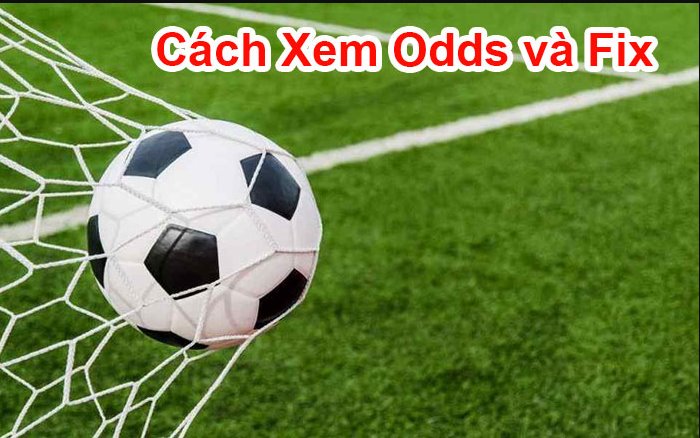 Cách xem Odds và Fix của nhà cái chuẩn xác nhất 2022