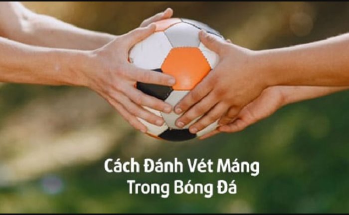 Kinh nghiệm đánh vét máng trong cá cược bóng đá hiệu quả nhất