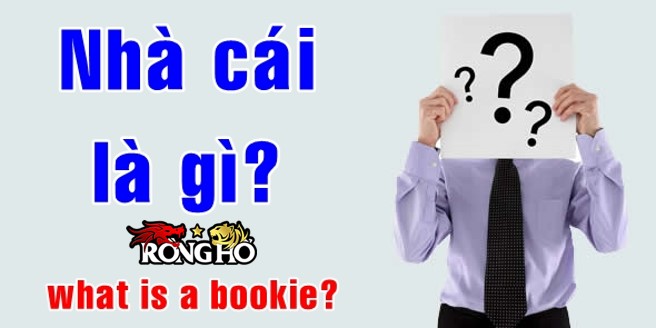 Nhà cái cá cược làm gì? Nhà cái kiếm tiền như thế nào